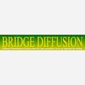 Bridge diffusion